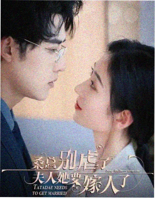 雾港谜案剧集封面